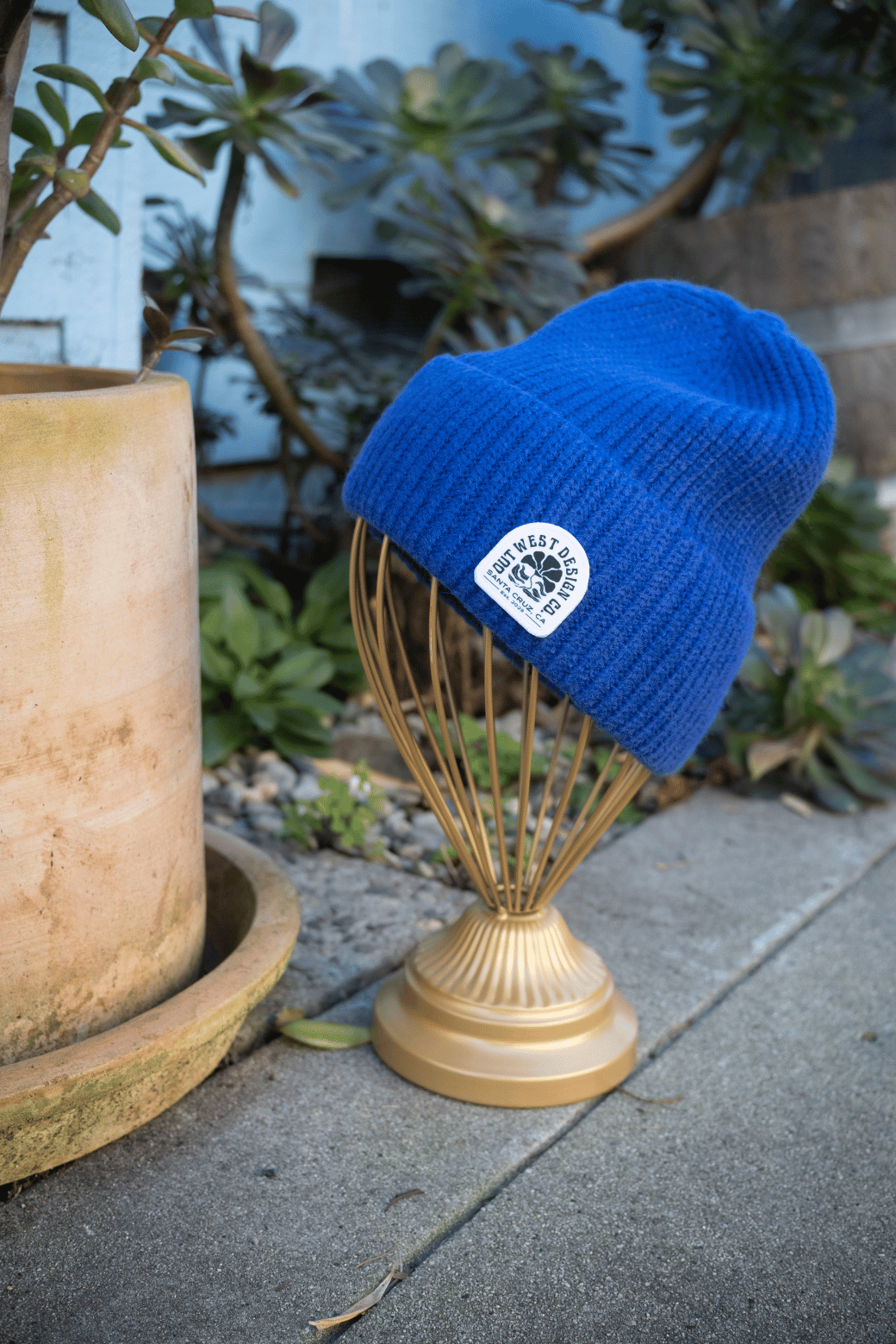 Blue beanie on a decorative stand with plants in the background