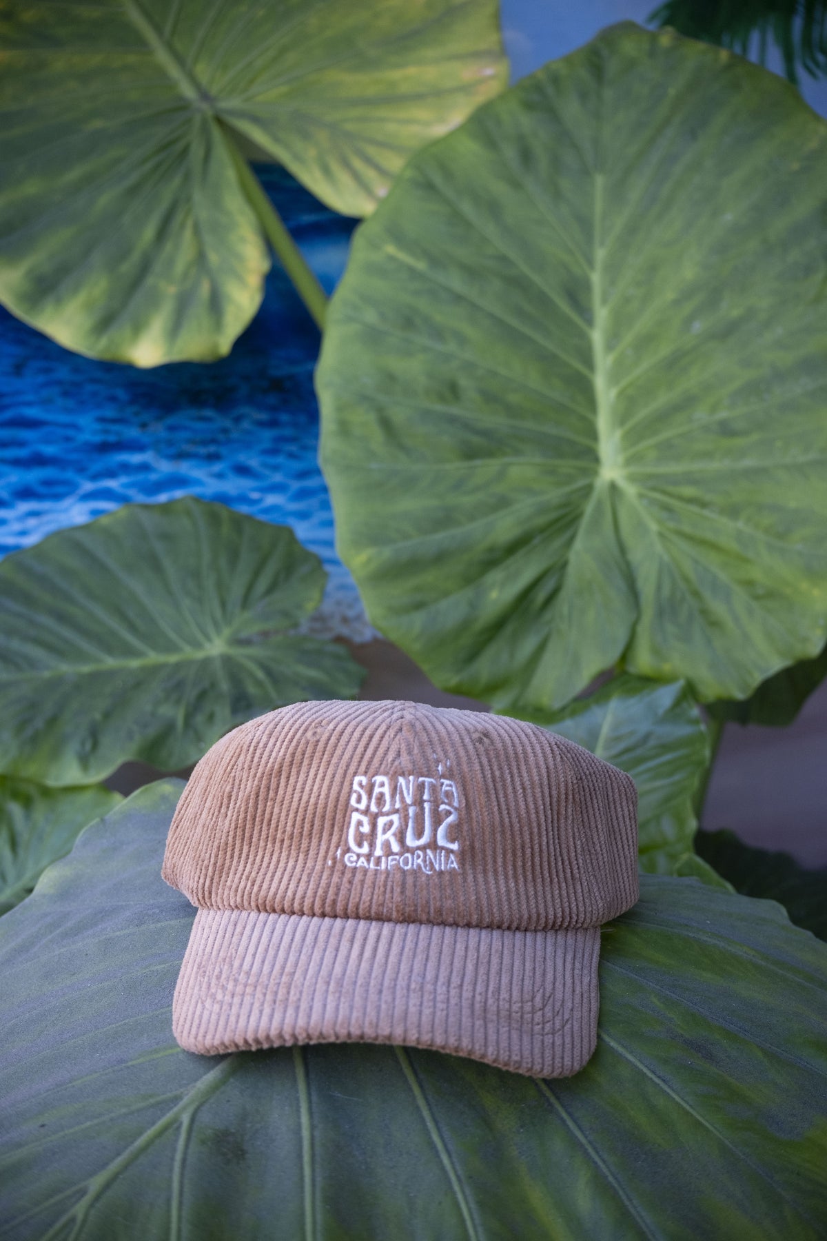 Corduroy Santa Cruz Dad Cap