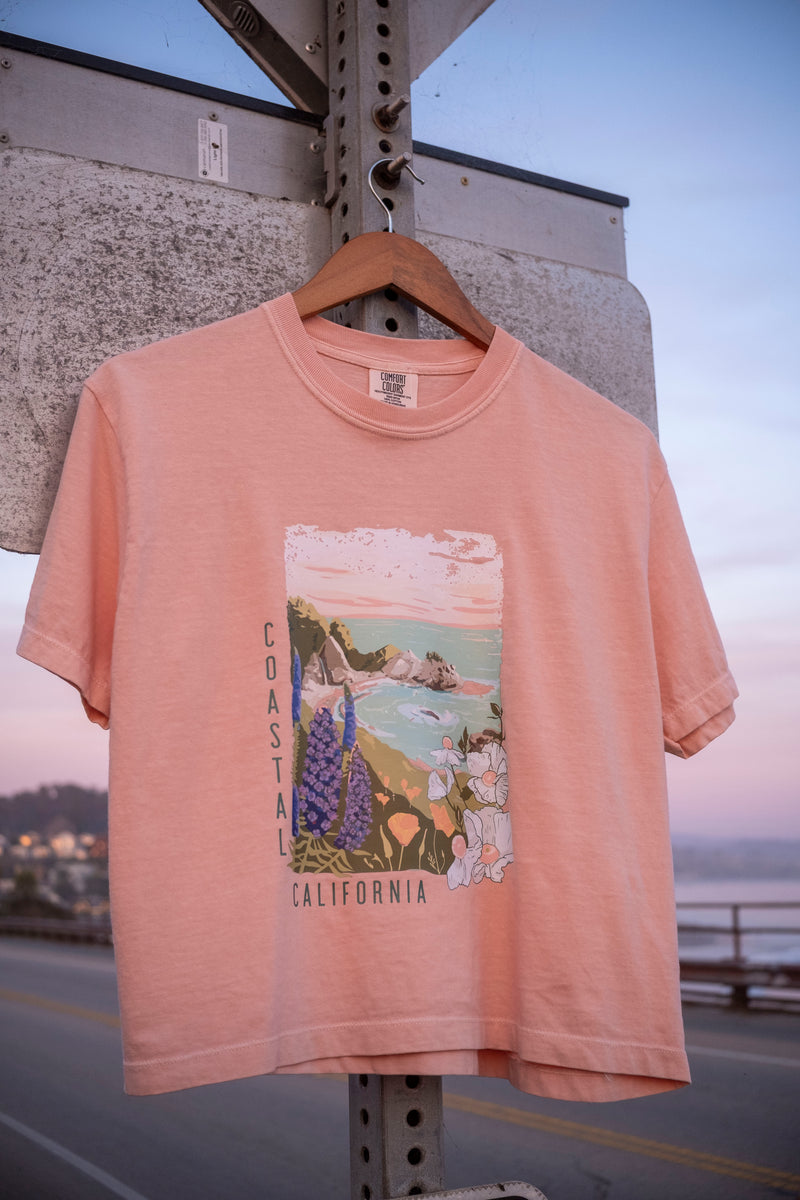 Pink t-shirt with a scenic graphic on a hanger against a sunset backdrop.